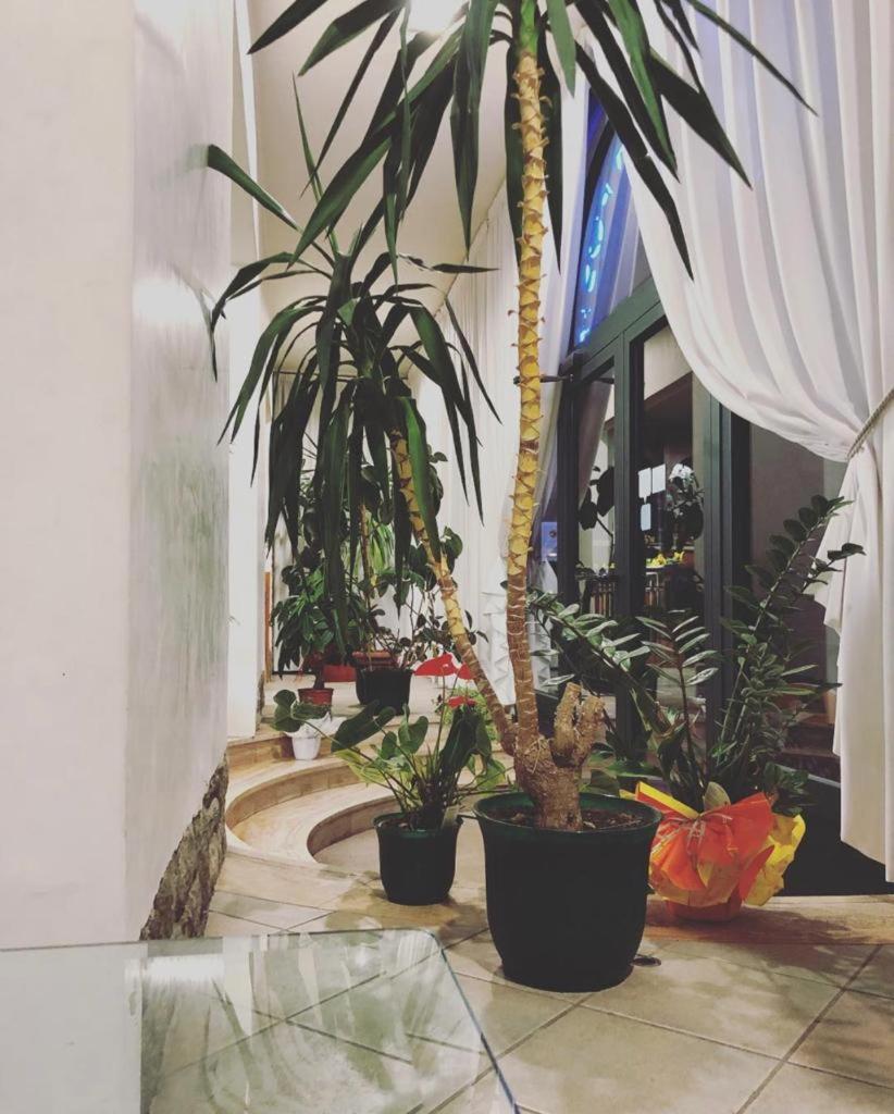 Albergo La Posta Arezzo Badia Al Pino ภายนอก รูปภาพ